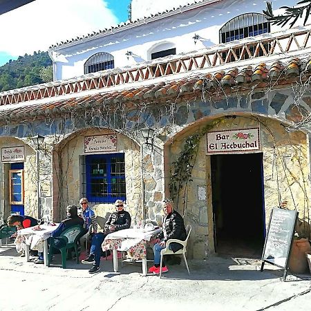 Гостевой дом Casa La Higuera Фрихилиана Экстерьер фото