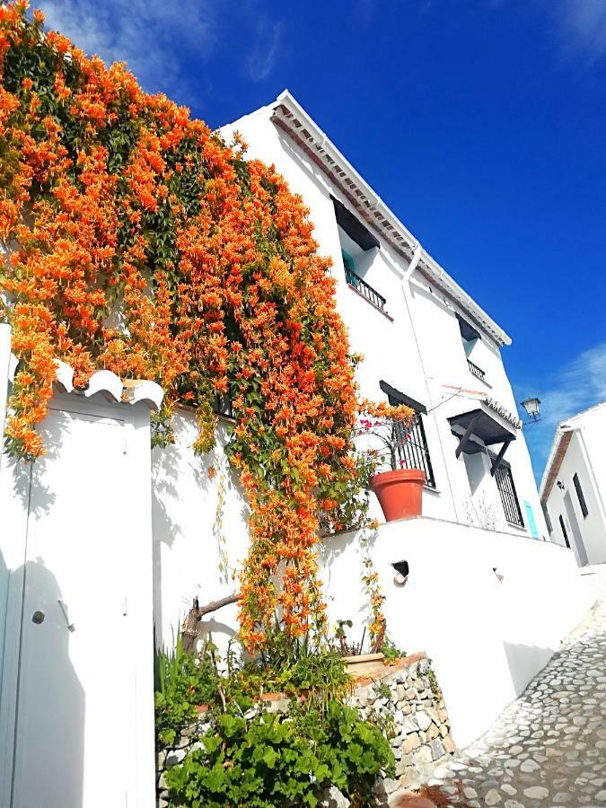 Гостевой дом Casa La Higuera Фрихилиана Экстерьер фото