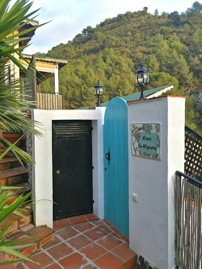 Гостевой дом Casa La Higuera Фрихилиана Экстерьер фото