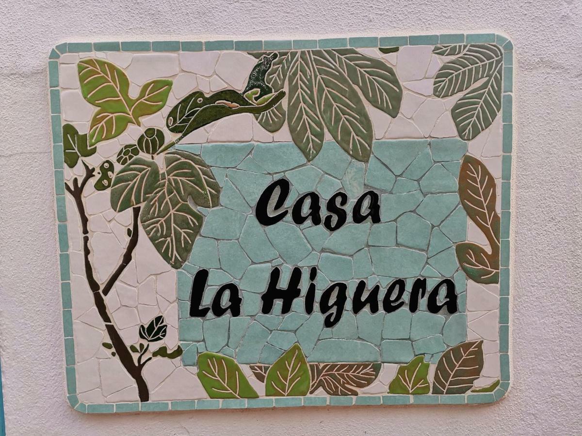 Гостевой дом Casa La Higuera Фрихилиана Экстерьер фото
